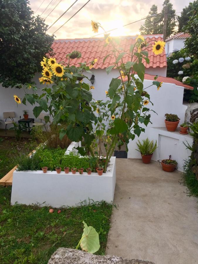 The Azores Homestead - Terceira Santa Barbara  外观 照片