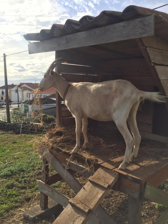 The Azores Homestead - Terceira Santa Barbara  外观 照片