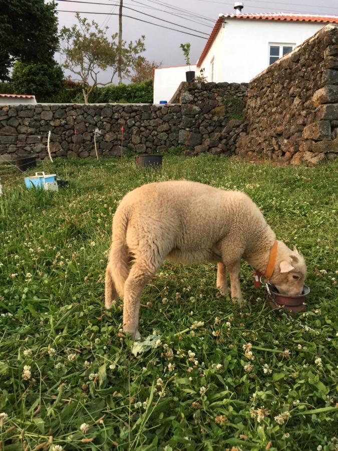 The Azores Homestead - Terceira Santa Barbara  外观 照片